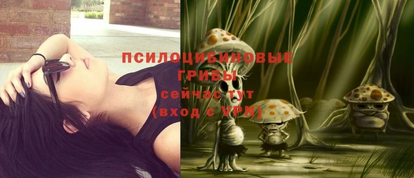 MDMA Новодвинск