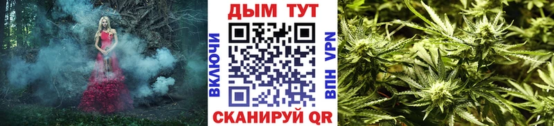 Канабис VHQ  купить   Покров 
